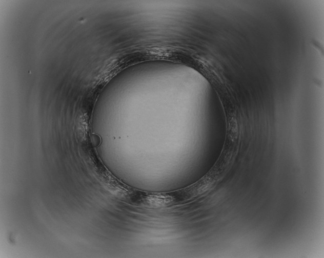 X0000101210707200807111033