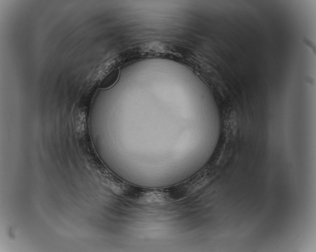 X0000101210708200807111033