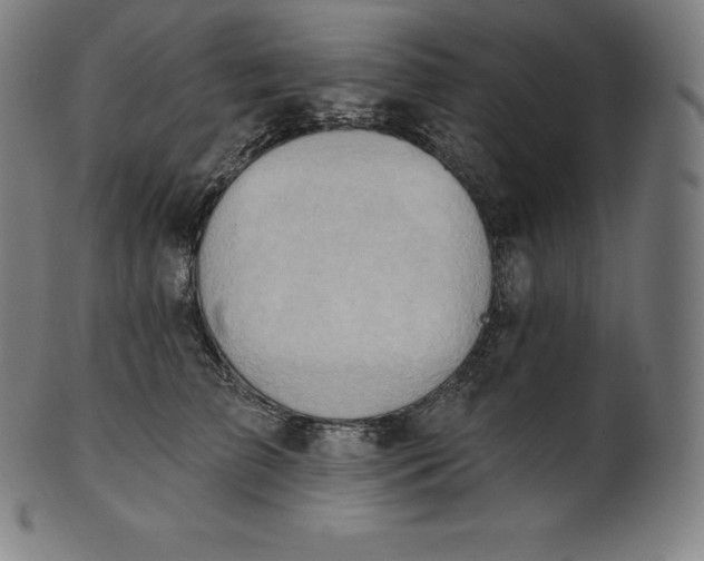 X0000101210709200807111033