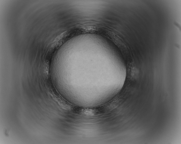 X0000101210710200807111033