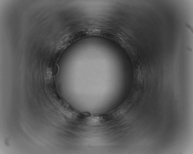 X0000101210711200807111033