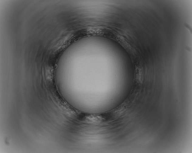 X0000101210712200807111033