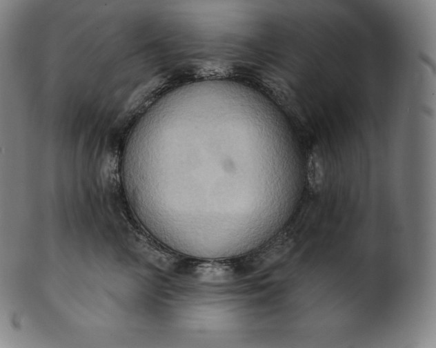 X0000101210714200807111033