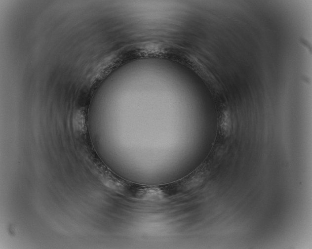 X0000101210715200807111033