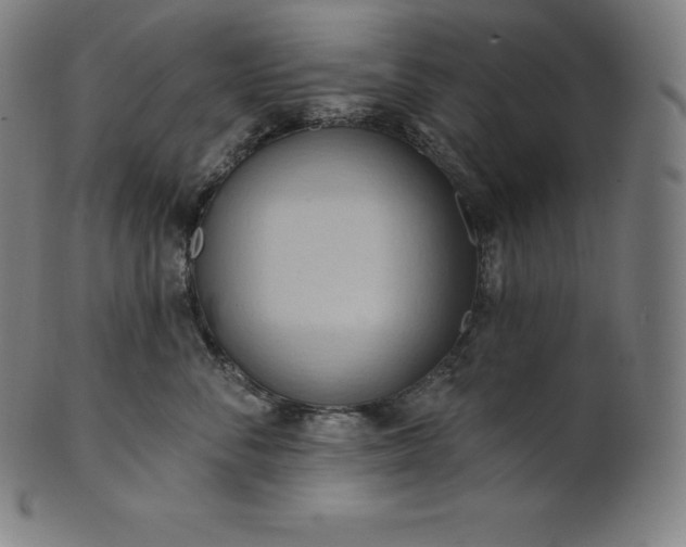 X0000101210716200807111033