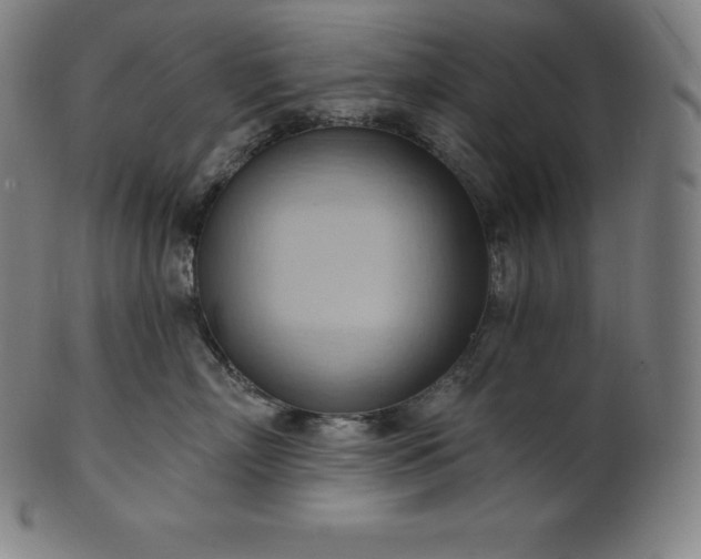 X0000101210718200807111033