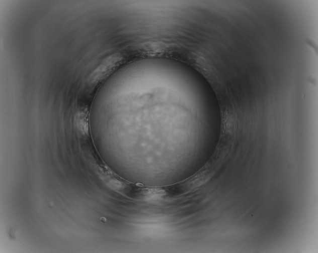 X0000101210719200807111033