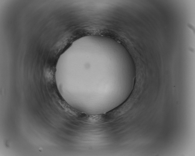 X0000101210720200807111033