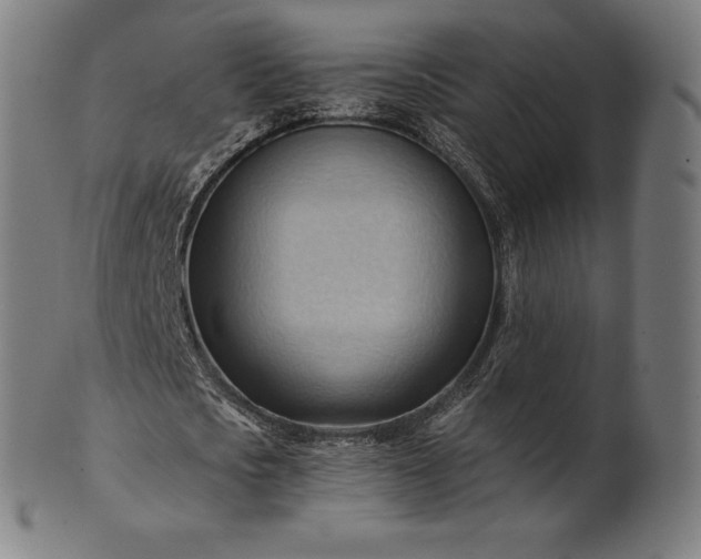 X0000101210721200807111032