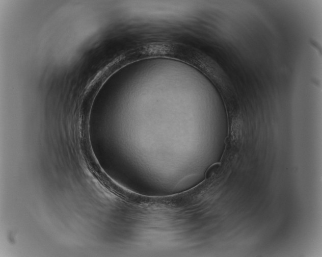 X0000101210722200807111032