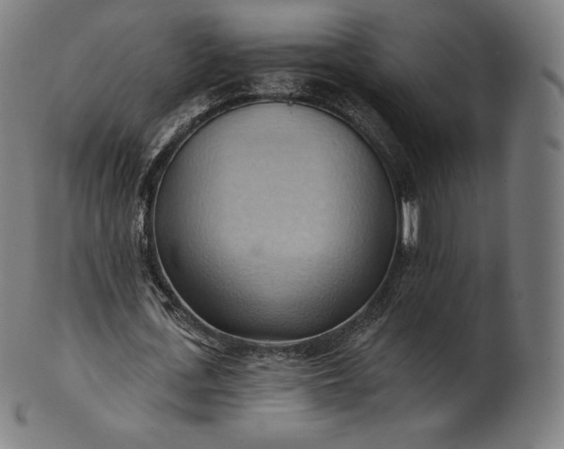 X0000101210723200807111032