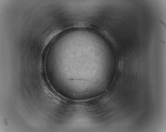 X0000101210724200807111032