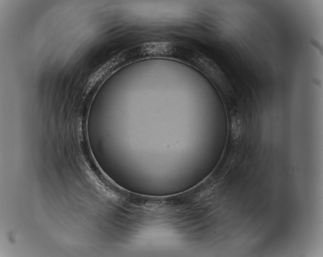 X0000101210725200807111032