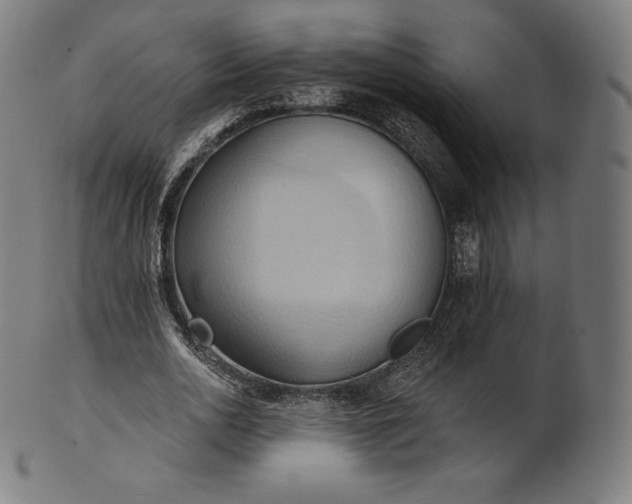 X0000101210726200807111032