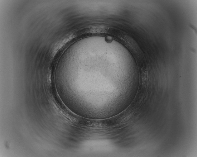 X0000101210727200807111032