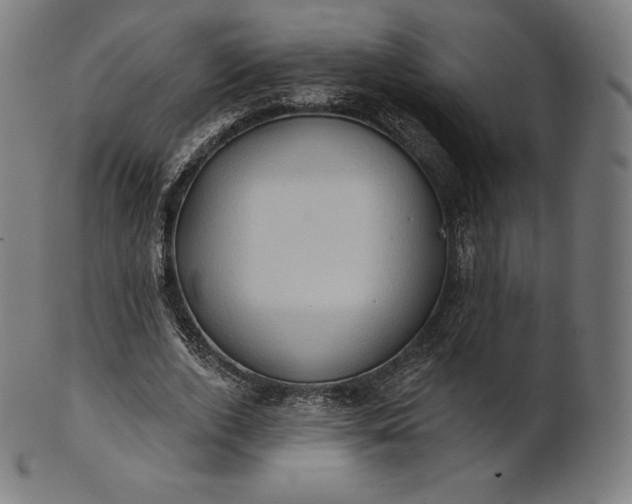 X0000101210728200807111032