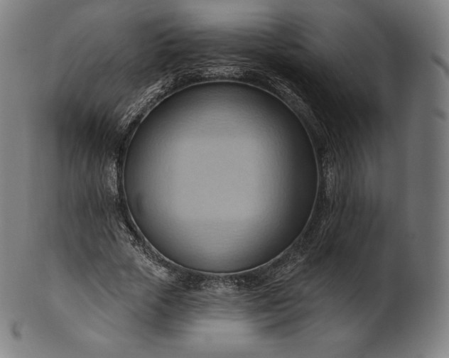 X0000101210729200807111032