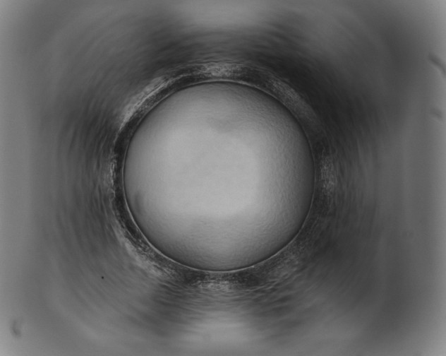 X0000101210730200807111032