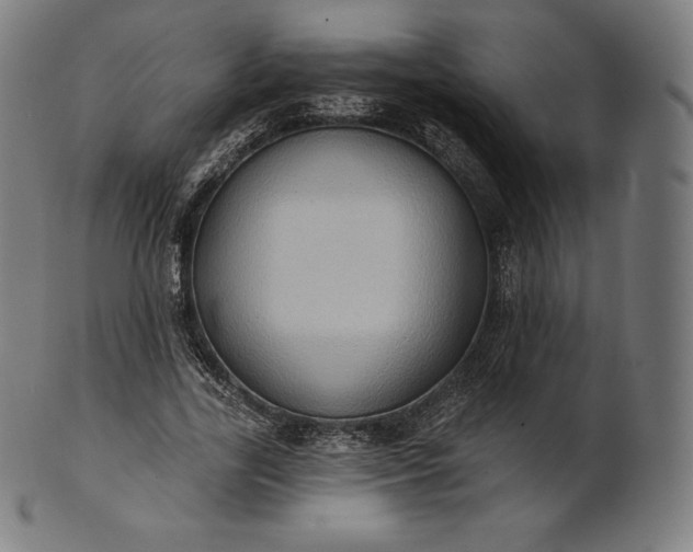 X0000101210731200807111032