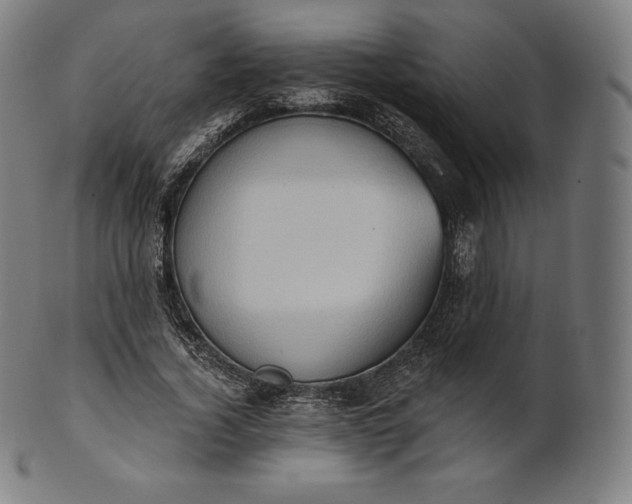 X0000101210732200807111032