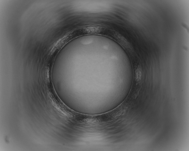 X0000101210733200807111032