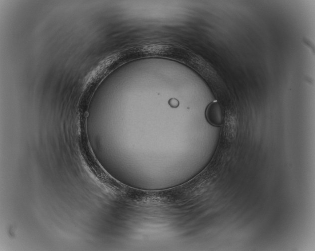 X0000101210734200807111032