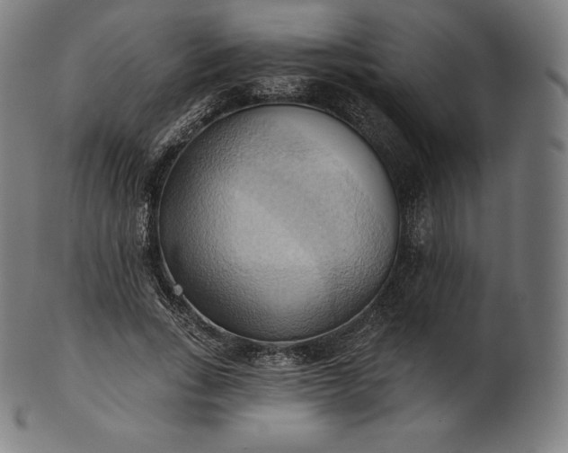 X0000101210735200807111032