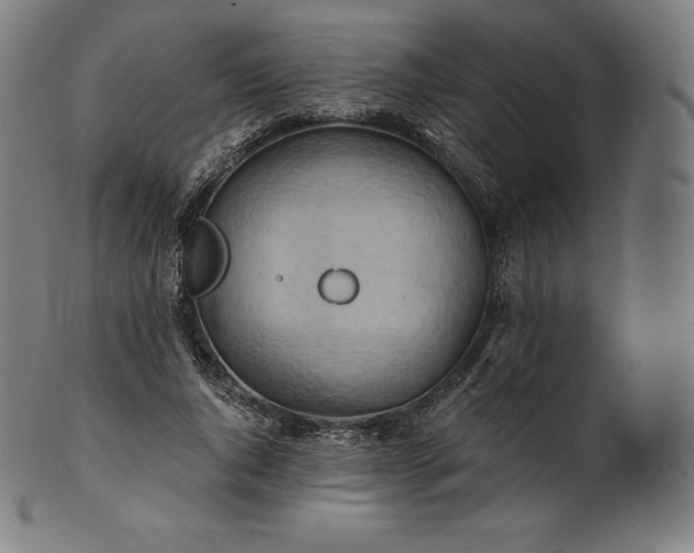 X0000101210736200807111032