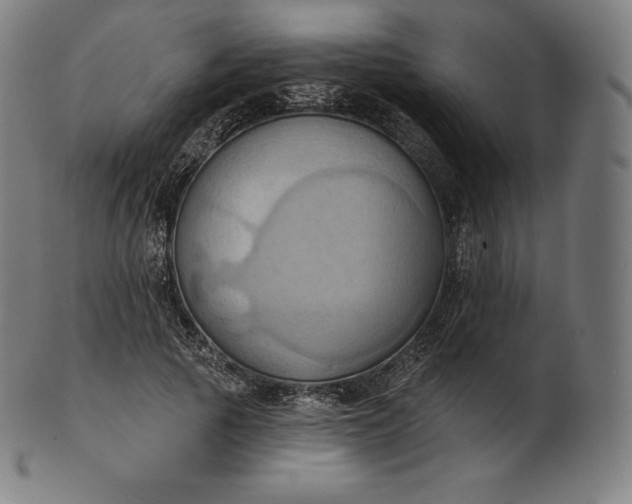 X0000101210737200807111032