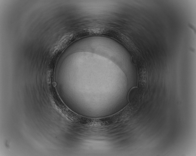 X0000101210738200807111032