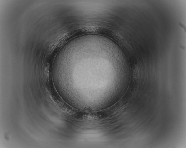 X0000101210739200807111033