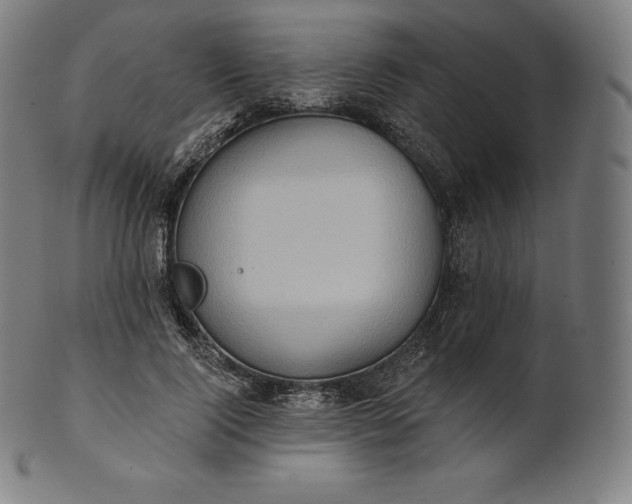 X0000101210740200807111033