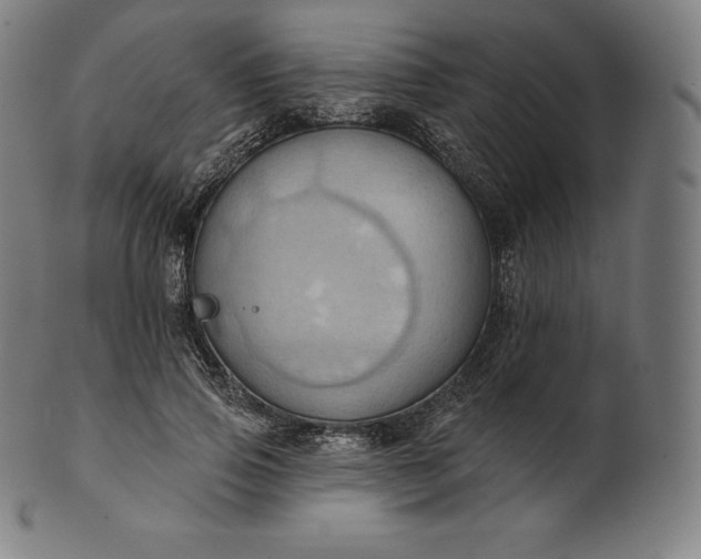 X0000101210741200807111033