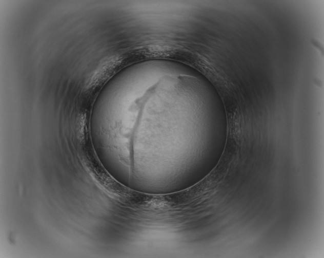 X0000101210742200807111033