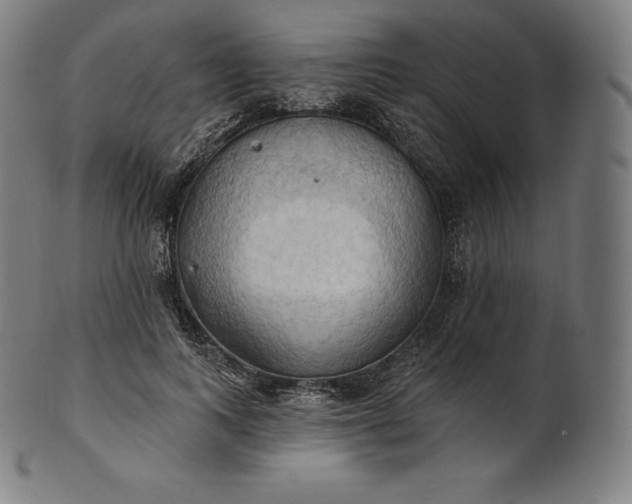 X0000101210743200807111033