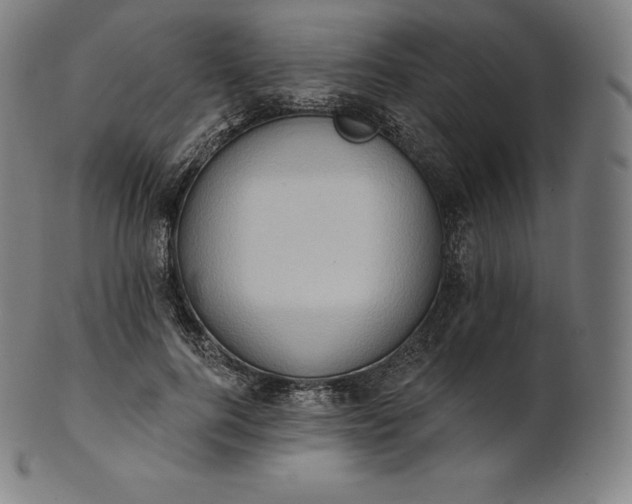 X0000101210744200807111033