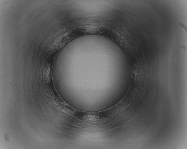 X0000101210745200807111033