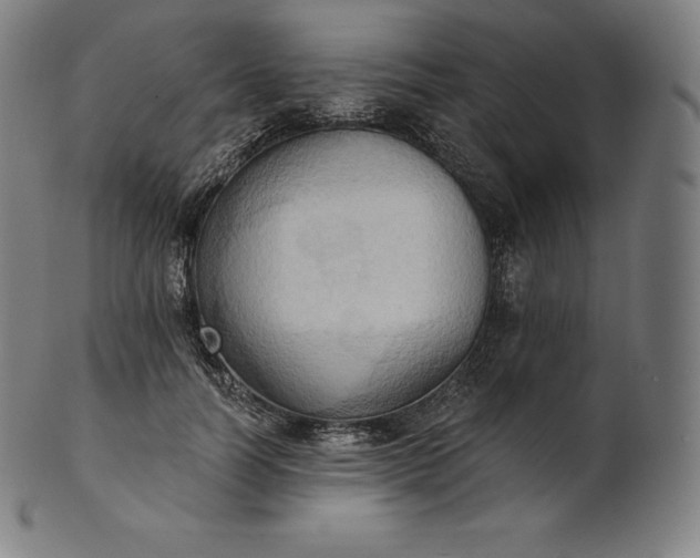 X0000101210746200807111033