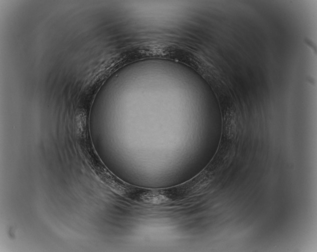 X0000101210747200807111033