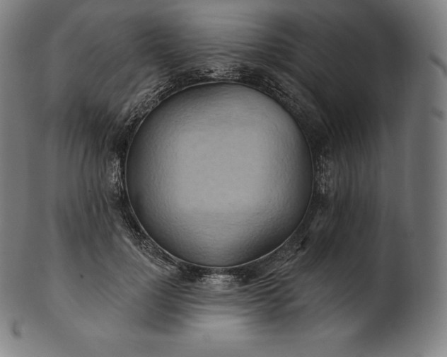 X0000101210748200807111033