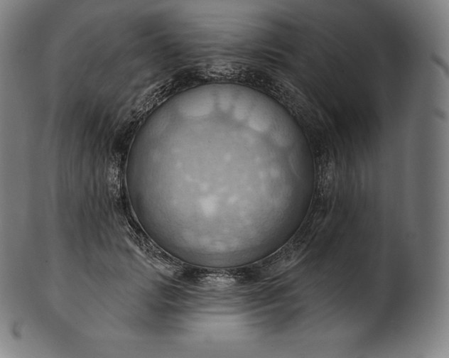 X0000101210749200807111033