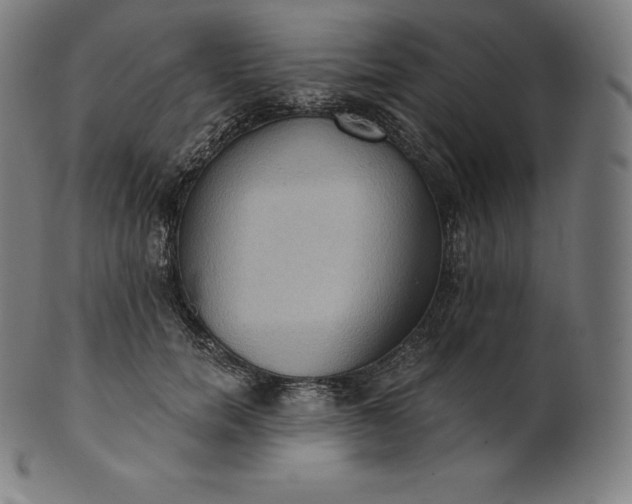 X0000101210750200807111033