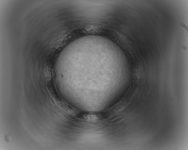 X0000101210751200807111033