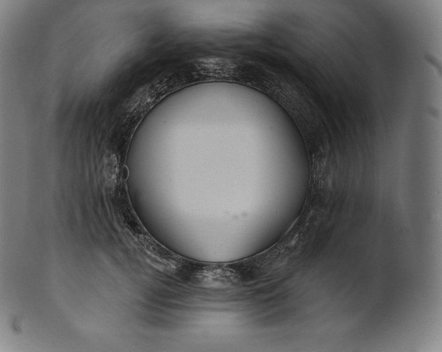 X0000101210752200807111033