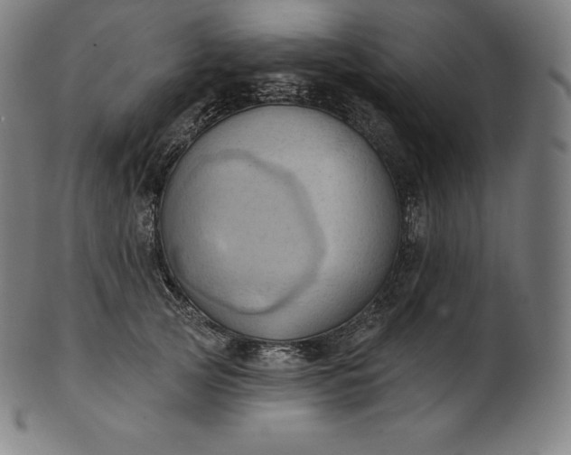 X0000101210753200807111033