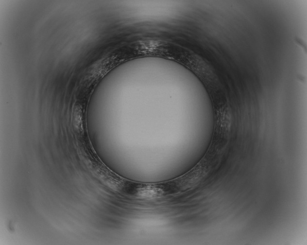 X0000101210754200807111033