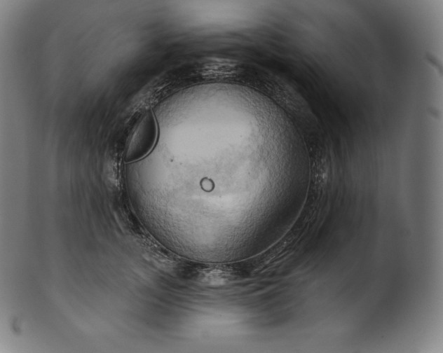 X0000101210755200807111033