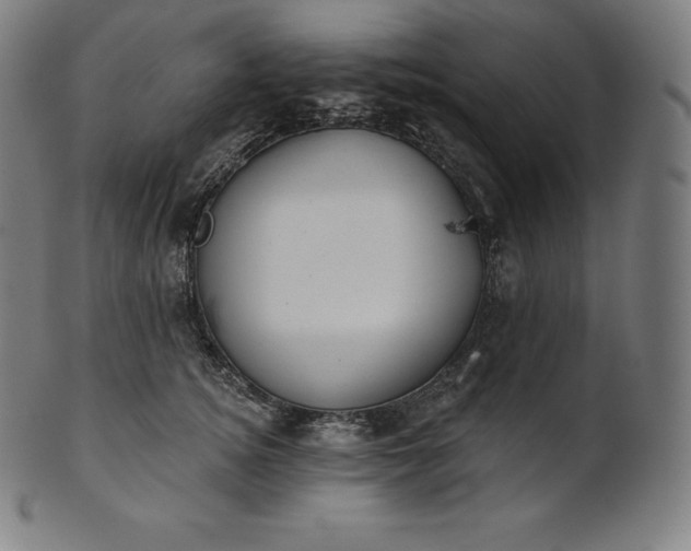 X0000101210756200807111033