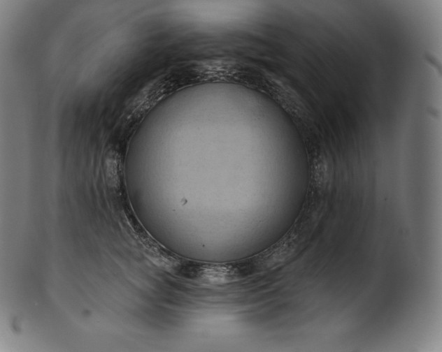 X0000101210757200807111033