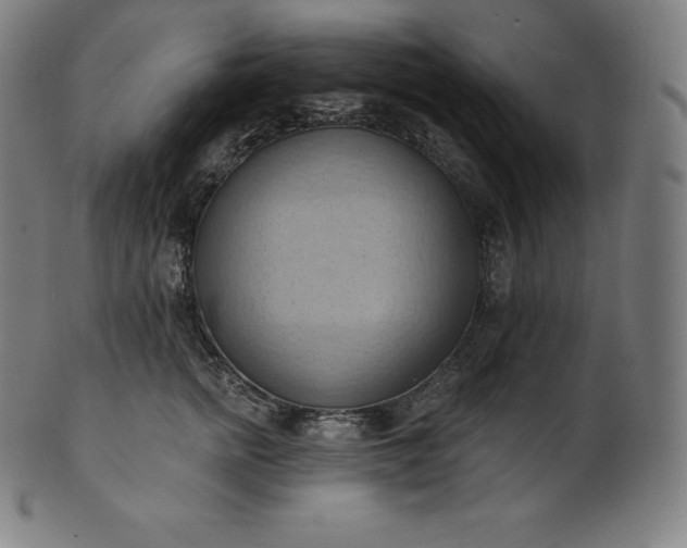 X0000101210758200807111033